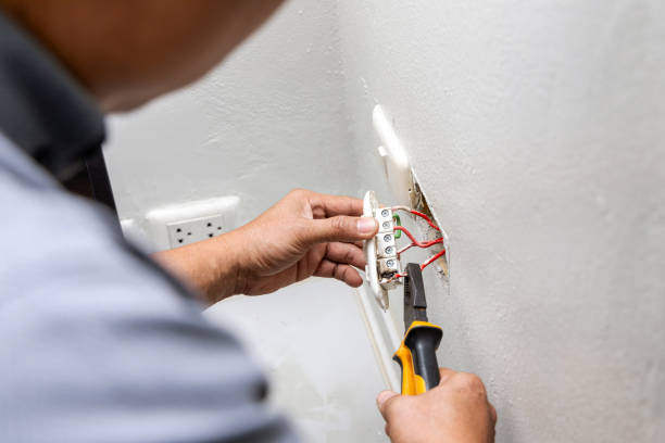 Best Licensed Electrician  in Brookridge, FL