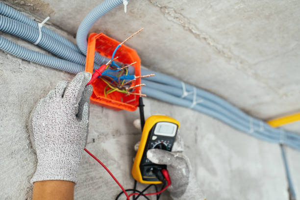 Best Generator Installation Services  in Brookridge, FL